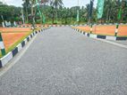 Luxury Land for Sale in Watareka