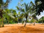 Luxury Land for Sale Midigama