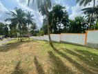 Luxury Land for Sale Near Panagoda