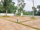 Luxury Land for Sale Pannipitiya