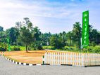 Luxury Land for Sale Samanbada