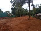 Luxury Land In Palawaththa