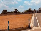 Luxury Land Plots Facing to Main road Arangala