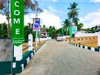 Luxury Land Plots For Sale Homagama