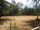 Luxury Land Plots for Sale in Beruketiya