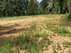 Luxury Land Plots for Sale in Beruketiya, Madulawa Rd