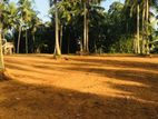 Luxury land plots for sale in Homagama Thalagala