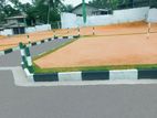 Luxury Land Plots For Sale In Homagama, watareka