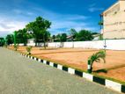 Luxury land plots for sale in Kochchikade