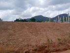 Luxury Land Plots for Sale in Kuruwita, Walandura