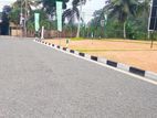 Luxury Land Plots For Sale In Minuwangoda