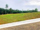 Luxury Land Plots for Sale in Moranthuduwa