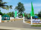 Luxury Land Plots For Sale In Nawagamuwa