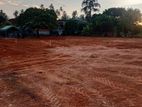 Luxury Land Plots For Sale in Negombo Kochchikade