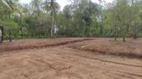 Luxury Land Plots for Sale in Tangalle
