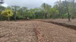 Luxury Land Plots for Sale in Tangalle