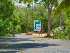 Luxury Land Plots For Sale in Tangalle