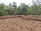Luxury Land Plots for Sale in Tangalle, Kadurupokuna