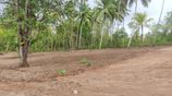 Luxury Land Plots for Sale in Tangalle, Kadurupokuna