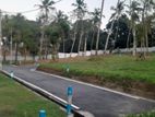 Luxury Land Plots in Thalawathugoda