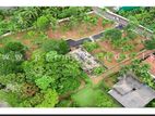 Luxury land plots in Thalawathugoda Weeramawatha