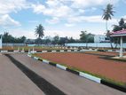 Luxury Land Plots in The Heart of Panadura