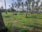Luxury Land Plots Kurunegala Town