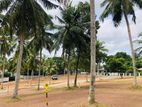 Luxury land plots sale in kothalawala