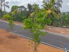Luxury Land Plots Sale in Malabe