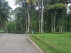 Luxury land plots sale in Meegoda