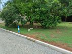 Luxury Land Plots Sale in Nawala