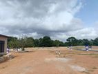 Luxury Land Plots sale in Nawala