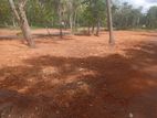 Luxury Land Polt in Battaramulla