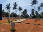 Luxury Lands Walana T01