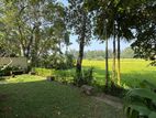 Luxury Modern Fully Furnished House with Paddy Field View Kadawatha