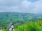 Luxury Mountain-View Land for sale in Rozella, Hatton - TR 0105