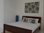 Luxury one bedroom studio house for rent at Lion city