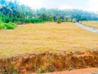 Luxury Residental Land Plots in Watareka