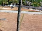 Luxury Residential Land for Sale in Kandana Gated community