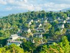 Luxury Scottish designing villas for sale in Digana