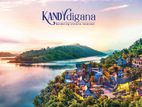 Luxury Scottish designing Villas For Sale In Digana Kandy