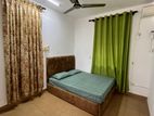 Luxury Studio One bedroom House at Lion city