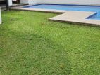 Luxury Swimming pool House for Rent Colombo 05 ANJ