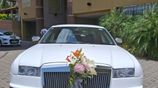 Luxury Wedding Car BMW | AUDI Benz Cars Hire