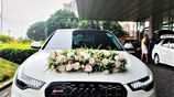 Luxury Wedding Car BMW | AUDI Benz Cars Hire