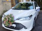 Luxury Wedding Car for Hire Toyota Axio