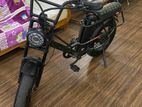 Lycon Mammoth Electric Bike