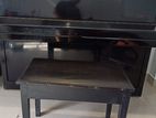 LYRIC Piano