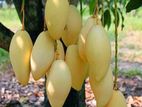 மாம்பழம்