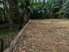 🏡✨ මාබිම – හෙයියන්තුඩුව වටිනා බිම්කොටසක් / DU 15113